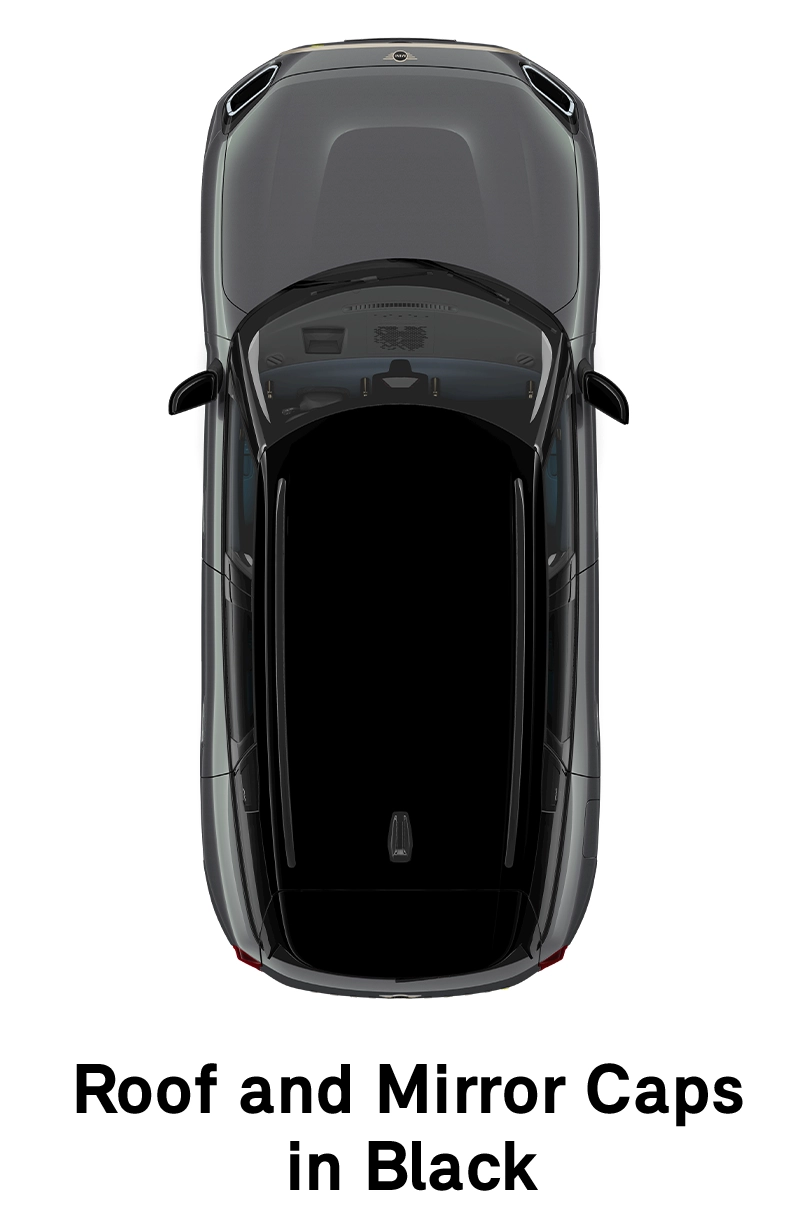  MINI - equipment - favoured style roof in black