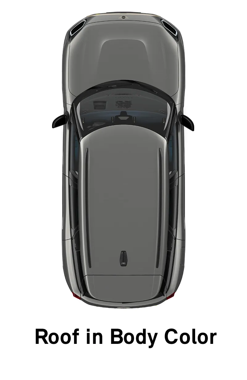  MINI - equipment - favoured style roof in body color