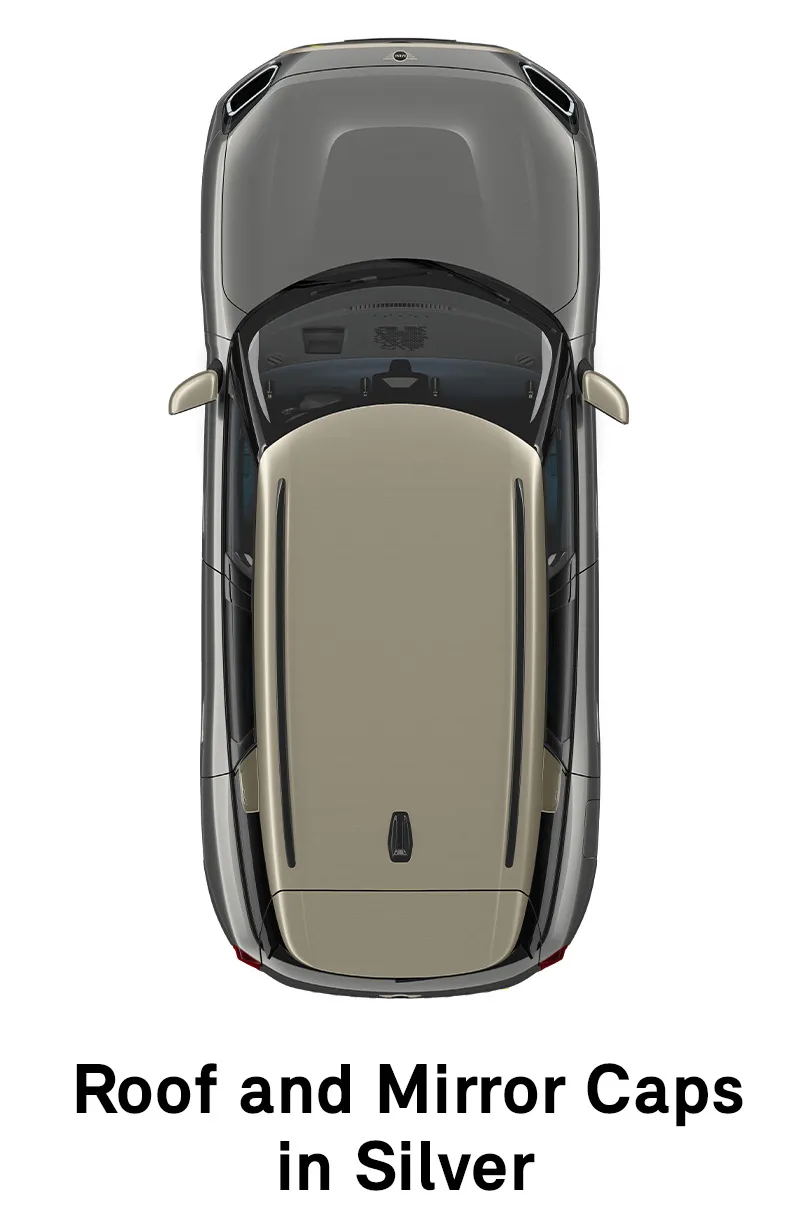  MINI - equipment - favoured style roof and mirror caps in silver